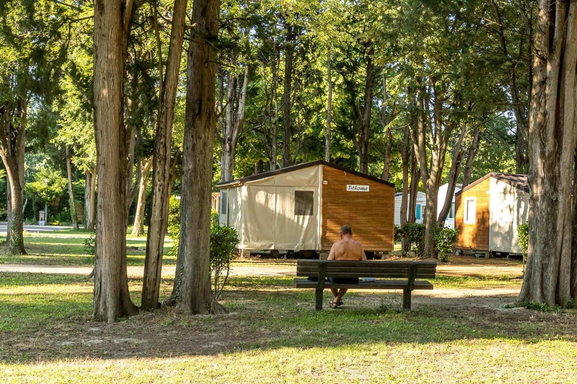 Camping Les Avignon - La Laune Villeneuve-lès-Avignon Buitenkant foto